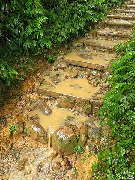 聖母登山步道