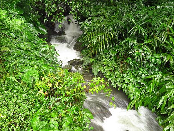 聖母登山步道.通天橋