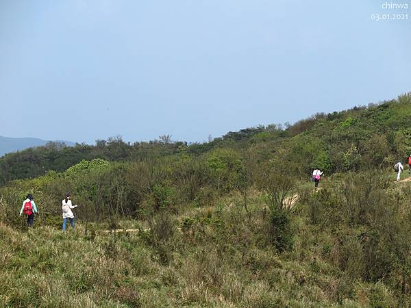 頂山石梯嶺步道