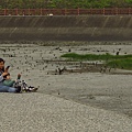 新竹.香山賞蟹步道