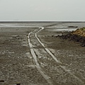 新竹.香山賞蟹步道