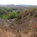 高雄.田寮月世界