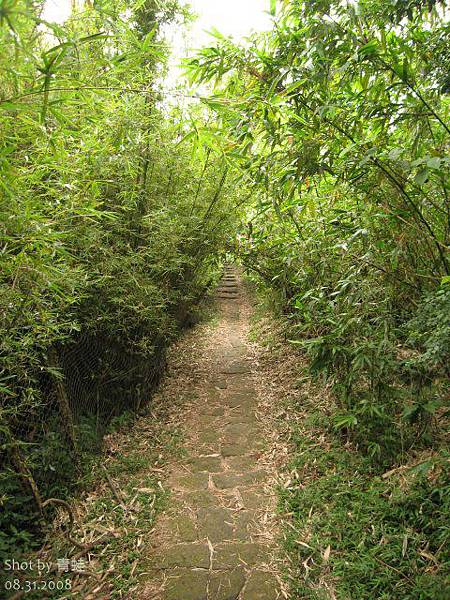 面天山步道