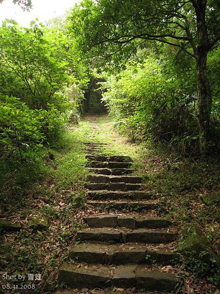 面天山步道