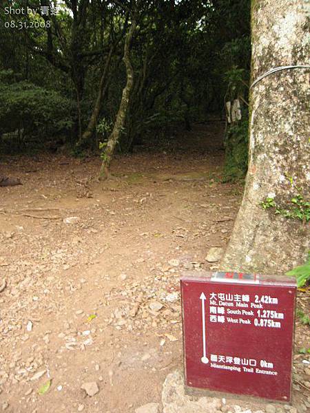 大屯山面天坪登山口