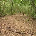 大屯西峰登山道