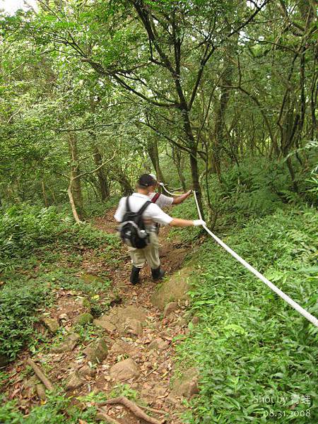 大屯西峰登山道