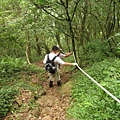 大屯西峰登山道