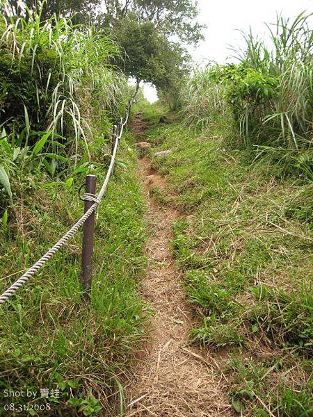 大屯西峰登山道