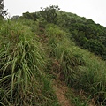 大屯西峰登山道