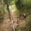 大屯西峰登山道