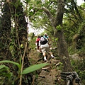 大屯西峰登山道