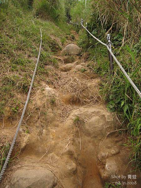 大屯西峰登山道