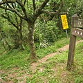 大屯南峰登山道