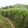 大屯南峰登山道