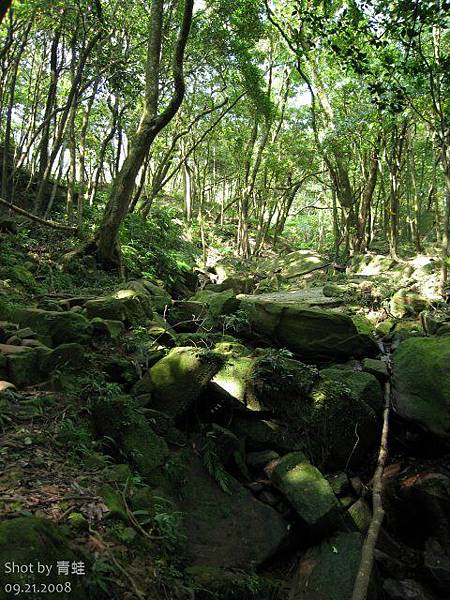 新山夢湖