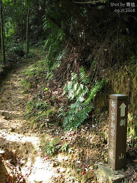 新山夢湖步道