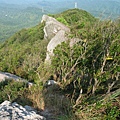 新山東崚