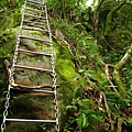 皇帝殿登山道