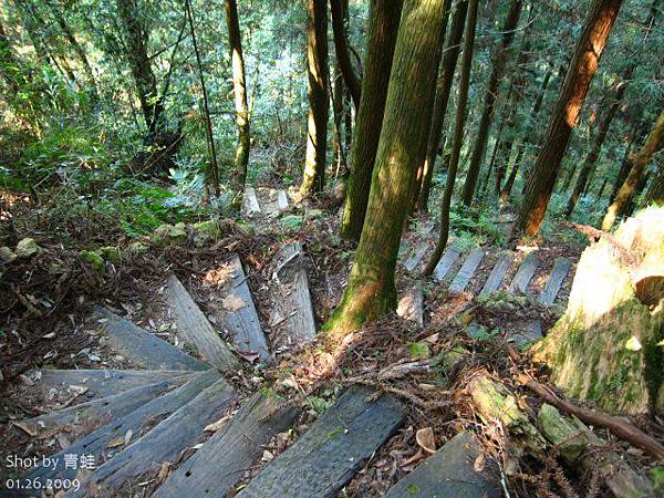 杉林溪)天地眼步道