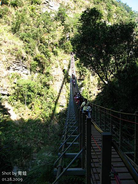 天梯)梯子吊橋