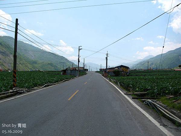 南山菜園