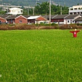 田中)稻草人