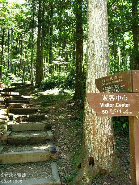 東眼山)自導式步道