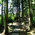 東眼山)自導式步道