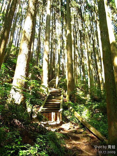 加里山步道