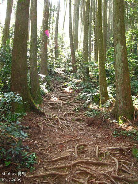 加里山步道