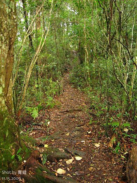 塔曼登山步道