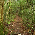 塔曼登山步道