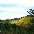 大雪山山區