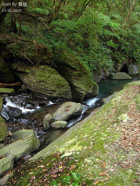 雲心森山間