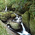 雲心森山間