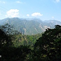 八仙山)梢楠巨木觀景台