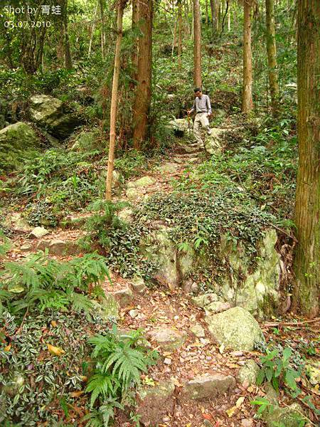 八仙山)主峰步道