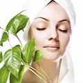Natural Skin Care Products  Whats So Good About Nature.jpg