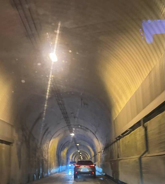 【露營】武界松露露營區