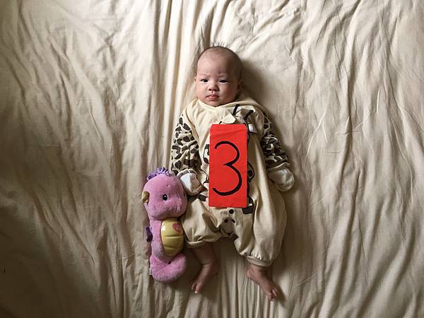 分享牛奶糖三个月亲喂宝宝也可以吃玩睡的作息