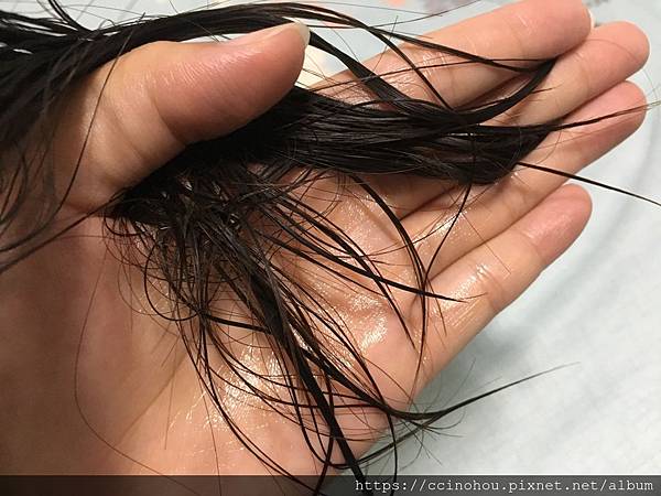 女人知己試用大隊,trilogy,紐西蘭天然有機品牌,trilogy逆齡抗老有機玫瑰果油,抗老,天然有機認證,玫瑰果油,保濕滋潤,天然萃取植物精華,淡化細紋,Rosapene專利抗老成分