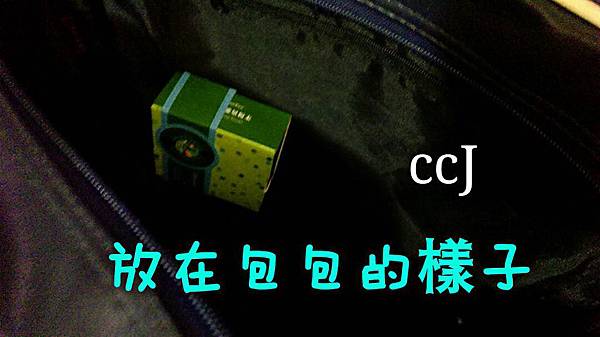 試用