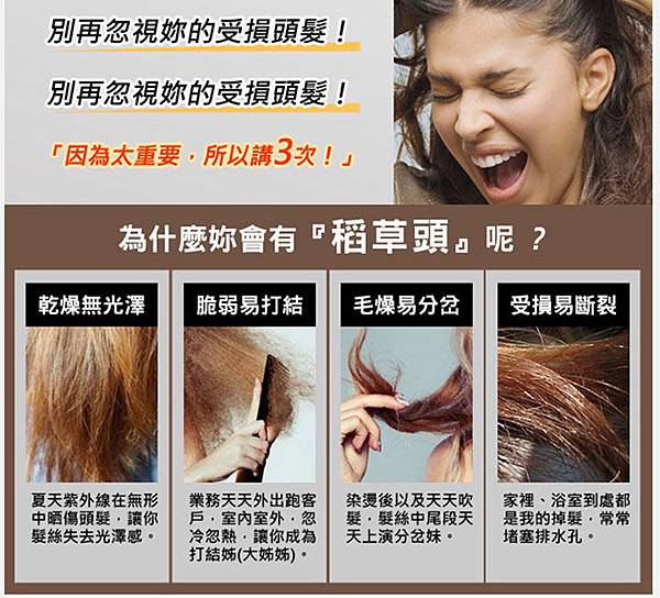 試用