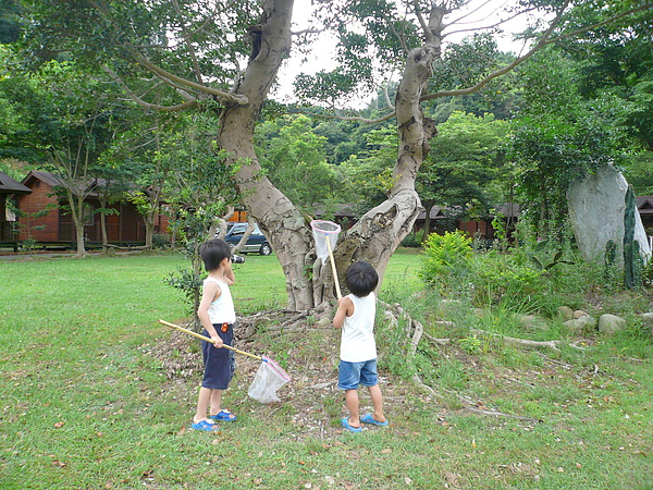 '10.7.17_關西飛鳳園 001.jpg