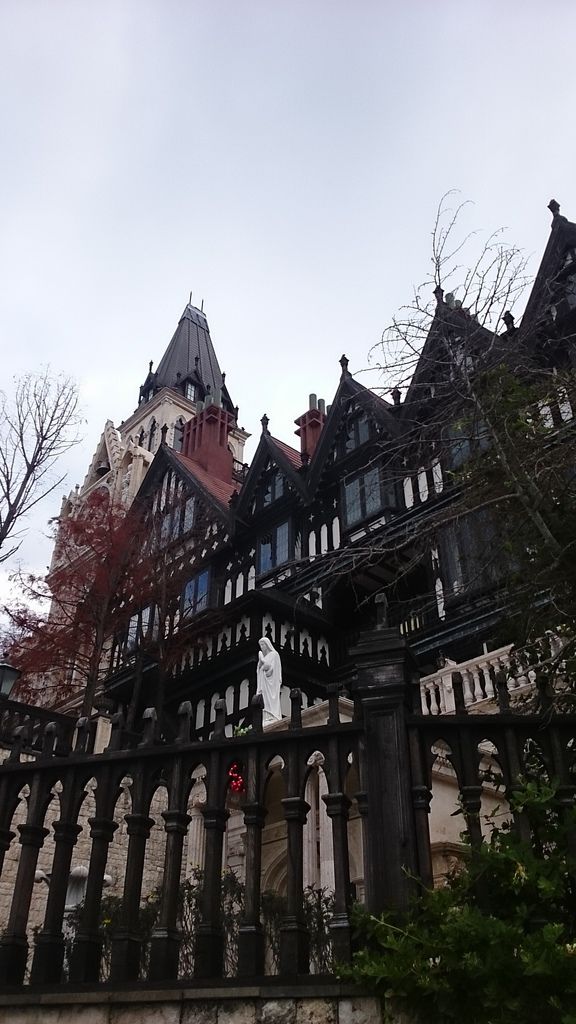 DSC_1645.JPG DSC_1645.JPG