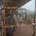 好多蜜蜂.jpg