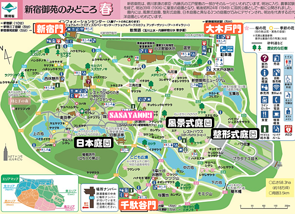 ［日本］東京賞櫻 🌸 新宿御苑 東京市區後花園 滿開粉紅櫻花