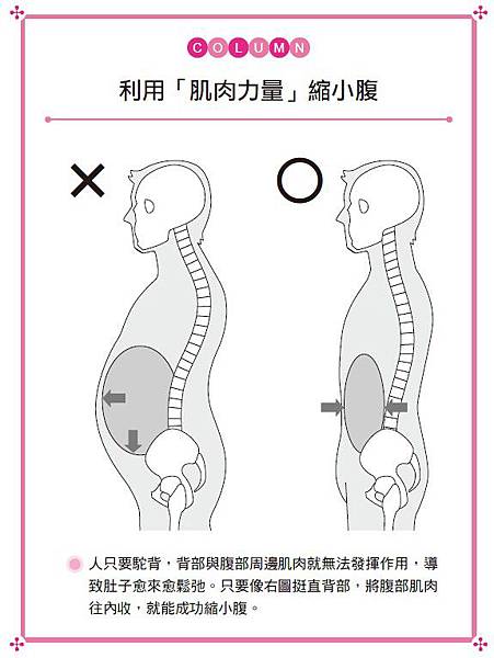 如何輕鬆瘦肚瘦小腹肚子變結實瘦肚子