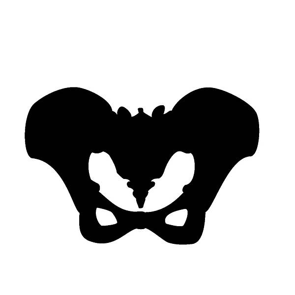 骨盆骨折後，「三項運動」幫助個案脫離「卡床」惡夢！